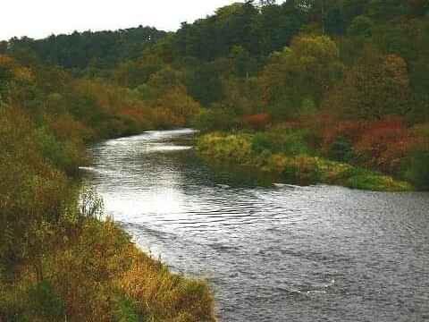 Unteres Siegstück bei Wissen Brücke Kleehahn bis Stadionbrücke Wissen kann in Kombination mit dem oberen Siegstück befischt werden