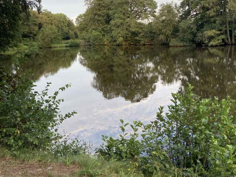 Teichanlage "Saerbeck"