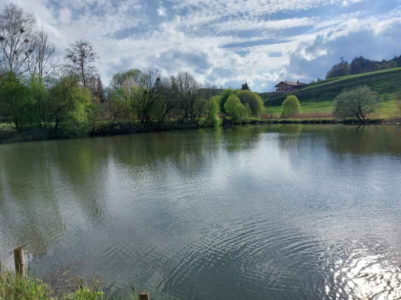 Dreiecksweiher in Unterlaus
