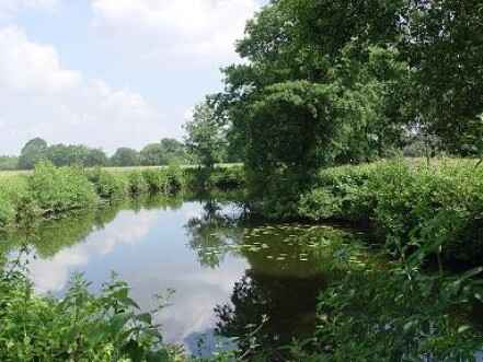 Altarm Brinkmann (oberhalb)