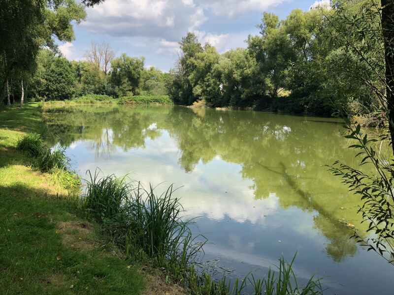 Unterer Weiher bei Wadgassen