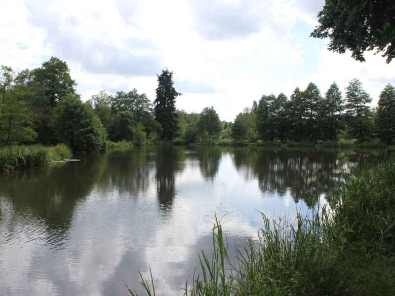 Weiher "In der Nauwies"