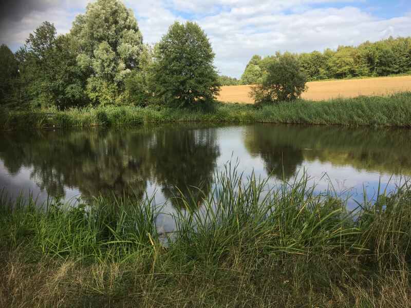 Weiher 3