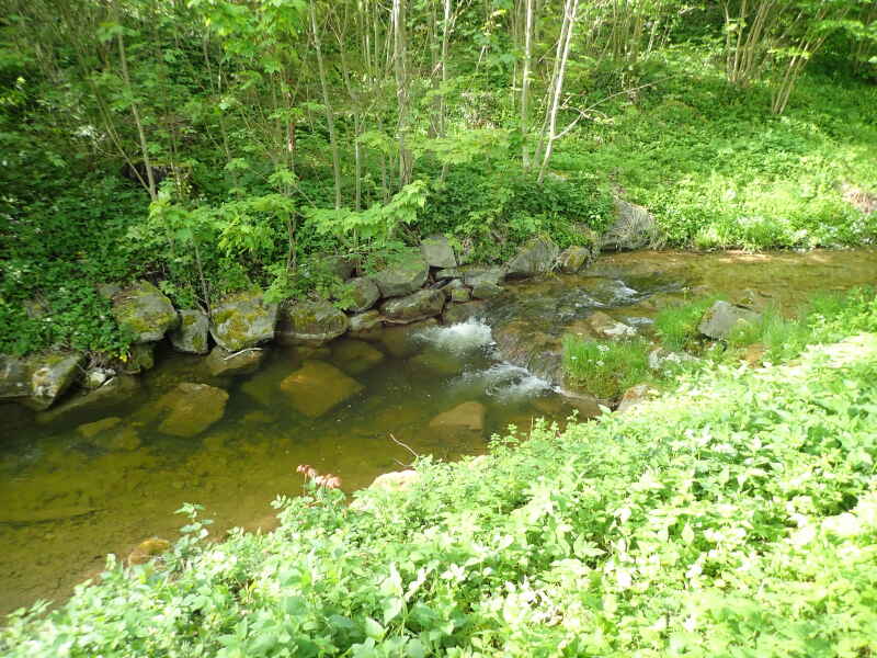 Burgleitenbach