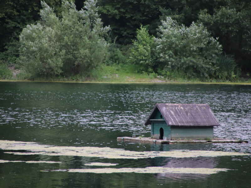 Hainanger