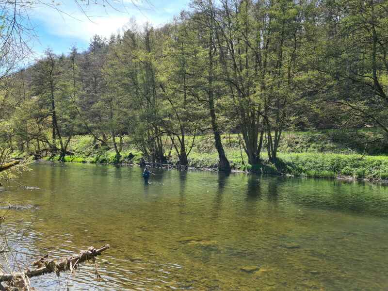 Werra bei Wernshausen