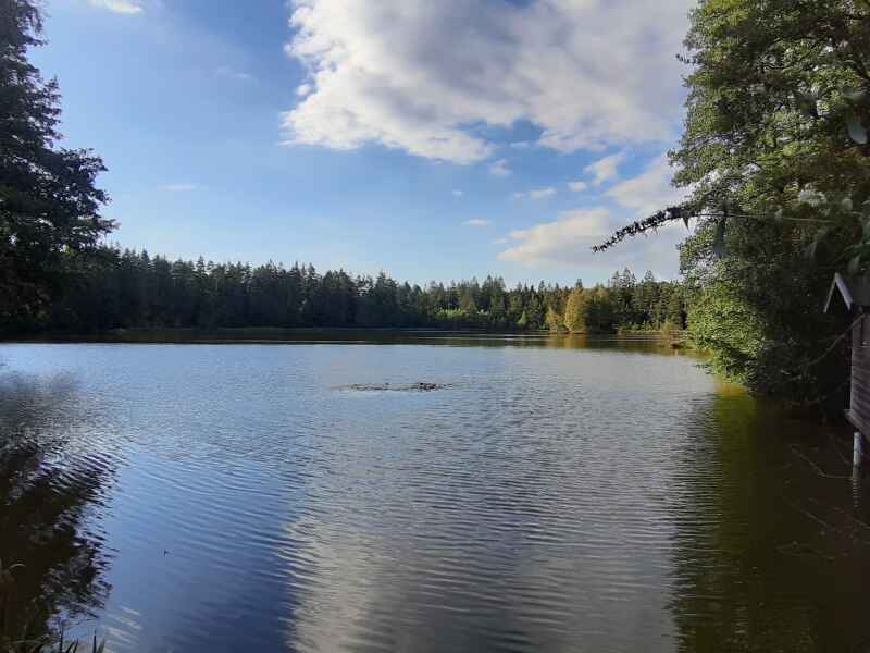 Kleiner  Markgrafenteich M2