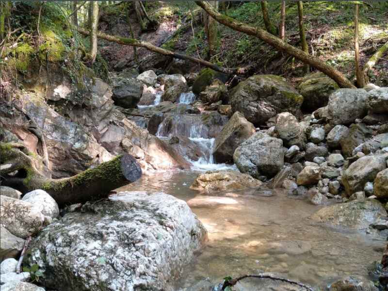 Weißenbach (Tauerngraben)