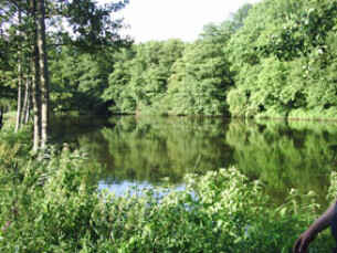 Teich Altona