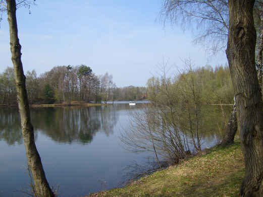 Fehlesee