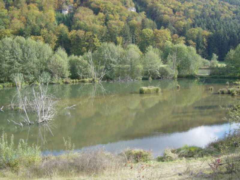 Alt- u. Nebengewässer des MD-Kanal bei Riedenburg (A1-A19)