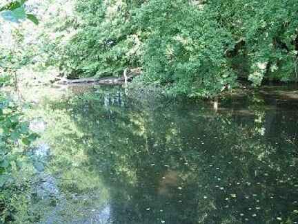 Altarm Meyers Pott (oberhalb)