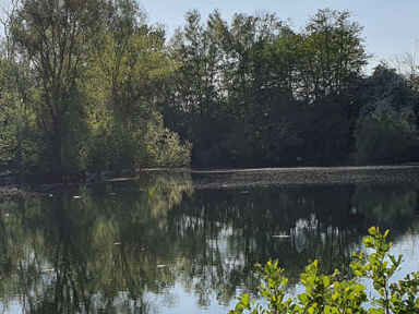Doppelsee Anglergilde Meerbusch