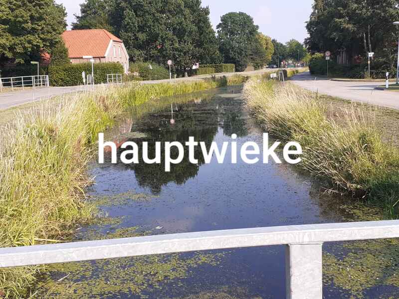 Hauptwieke
