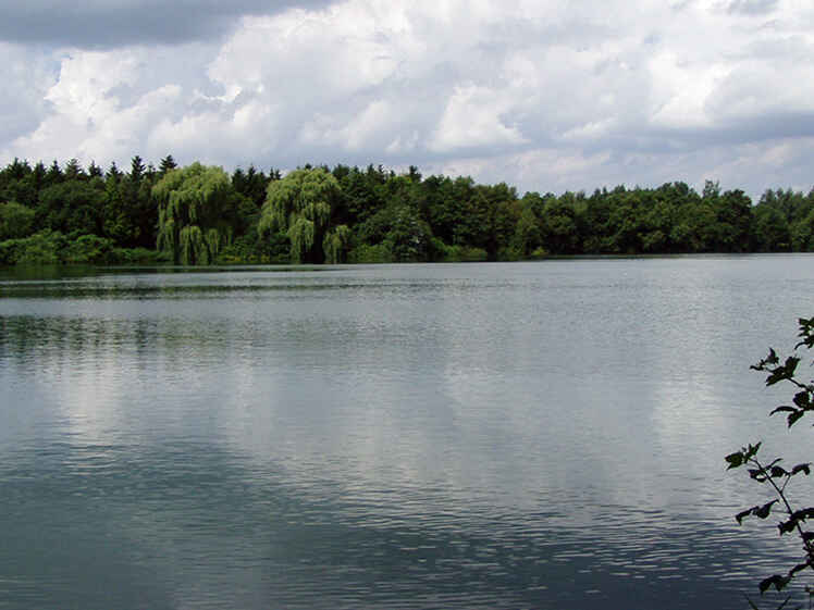 Altschwoog
