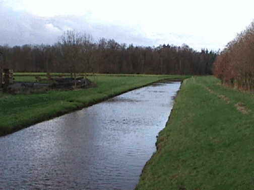 Wagenfelder Aue