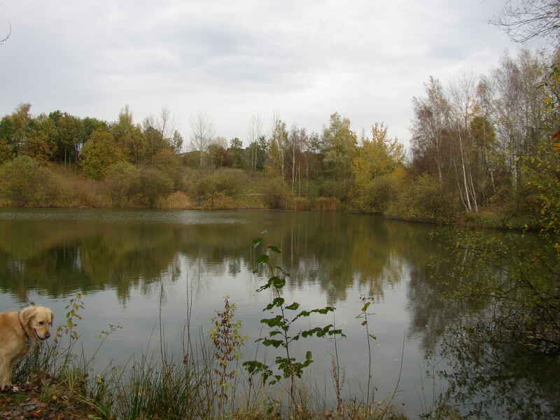 Birkenfeldsee