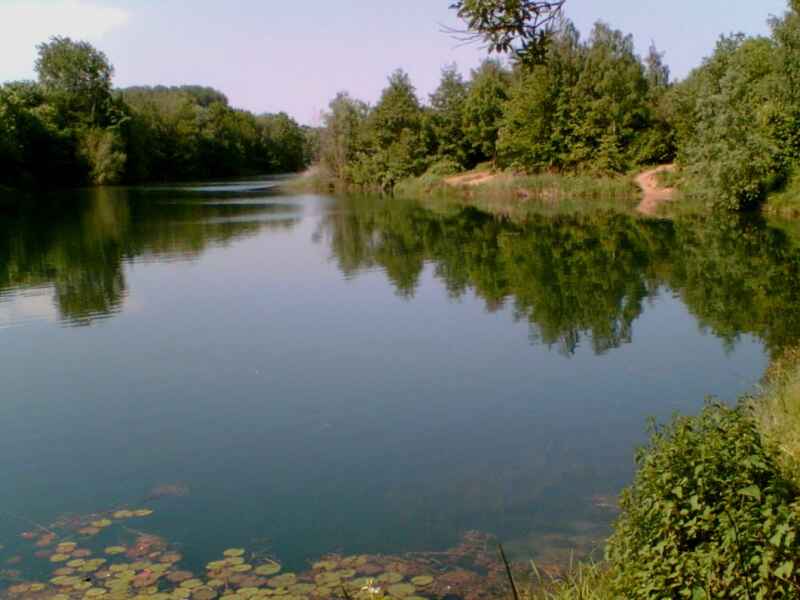 Waldsee bei Dormagen - Hackenbroich