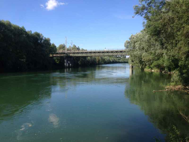 Traun bei Traun Nr. 34 (Revier Derntl)
