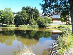Torbergteich Teuschnitz