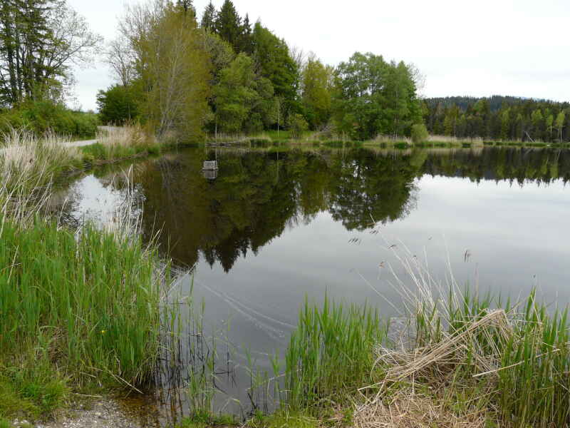 Schönewaldweiher
