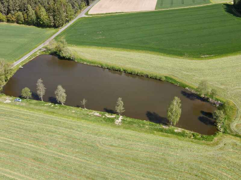 Erlenweiher