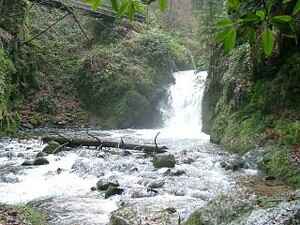 Grobbach