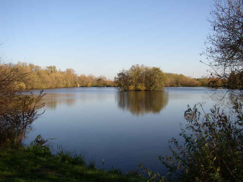 Neuer Teich