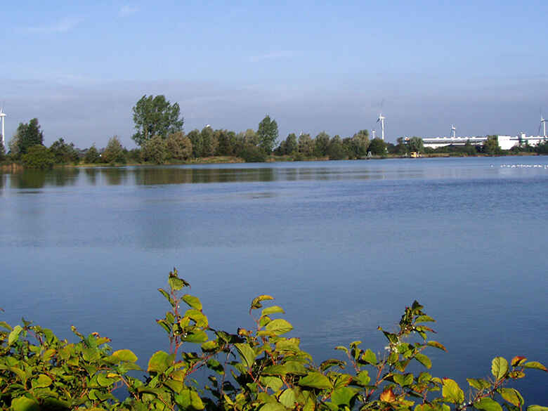 Großer Teich Neermoor