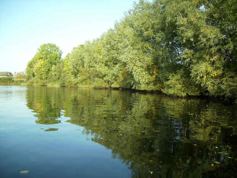 Eider bei Tielen (KM 37,0 - KM 41,0)