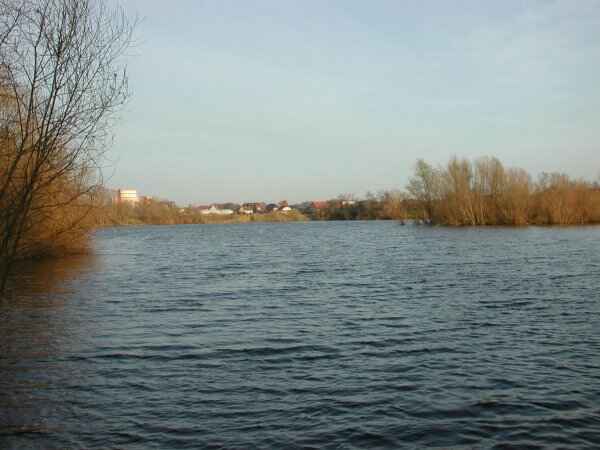 Dungelbeck