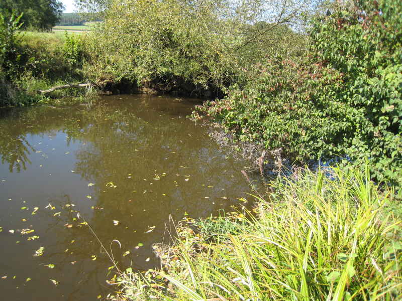 Schwarzach - Weiglwasser
