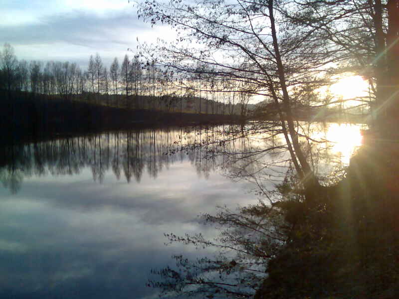 Alteberspointer Weiher