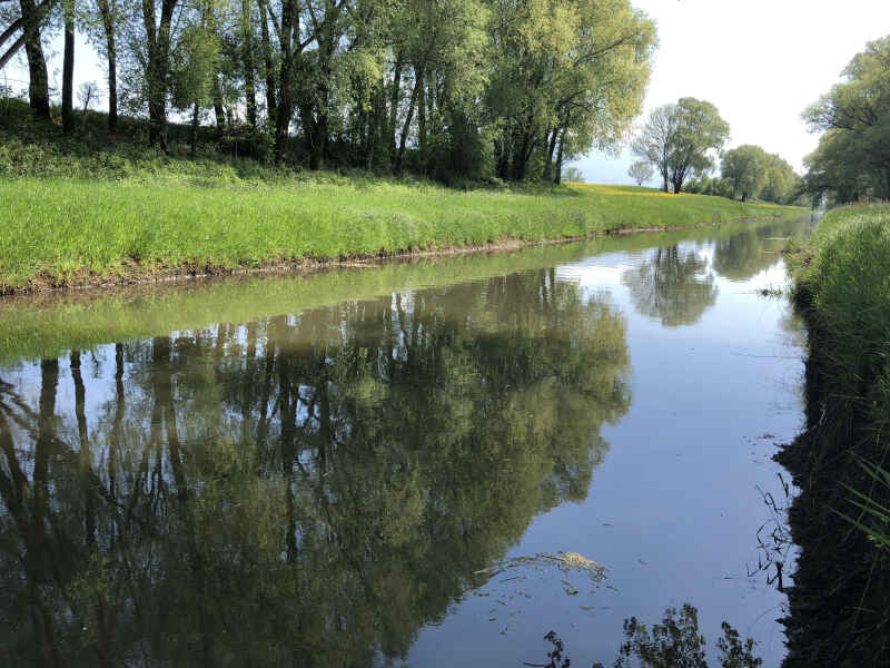 Lustenauer Kanal