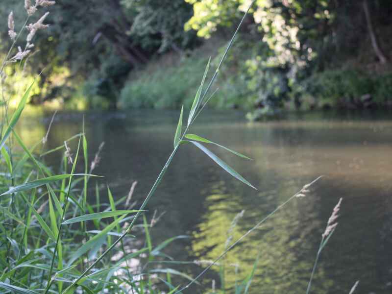 Angelkarten Innerste