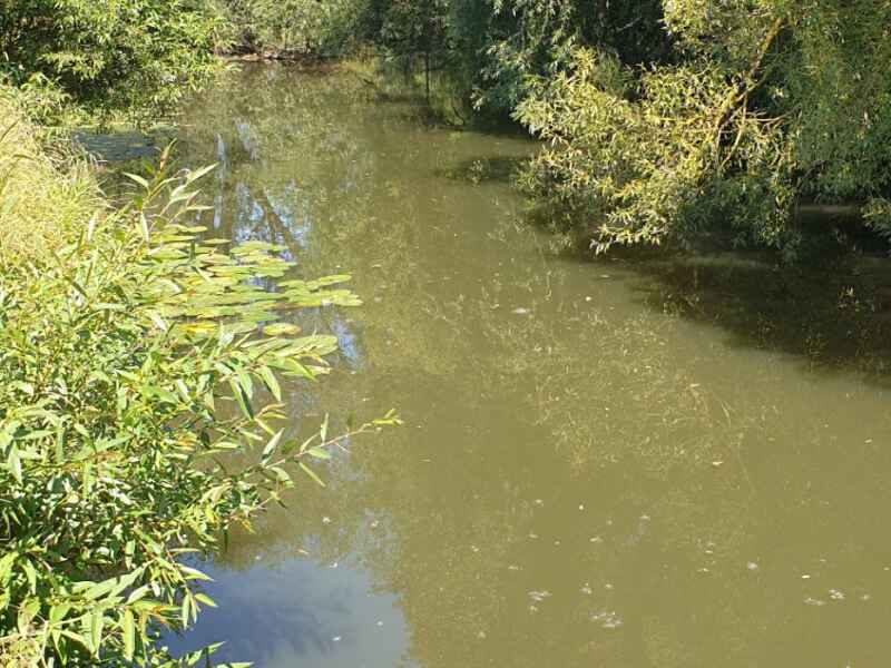 Angeln Schwalm bei Bischhausen | Angelkarten ab 12,50 Angeln Schwalm bei Bischhausen | Angelkarten ab 12,50