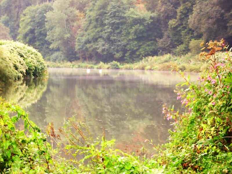Angeln Lahn von Balduinstein bis Scheidt | Angelkarten ab Angeln Lahn von Balduinstein bis Scheidt | Angelkarten ab